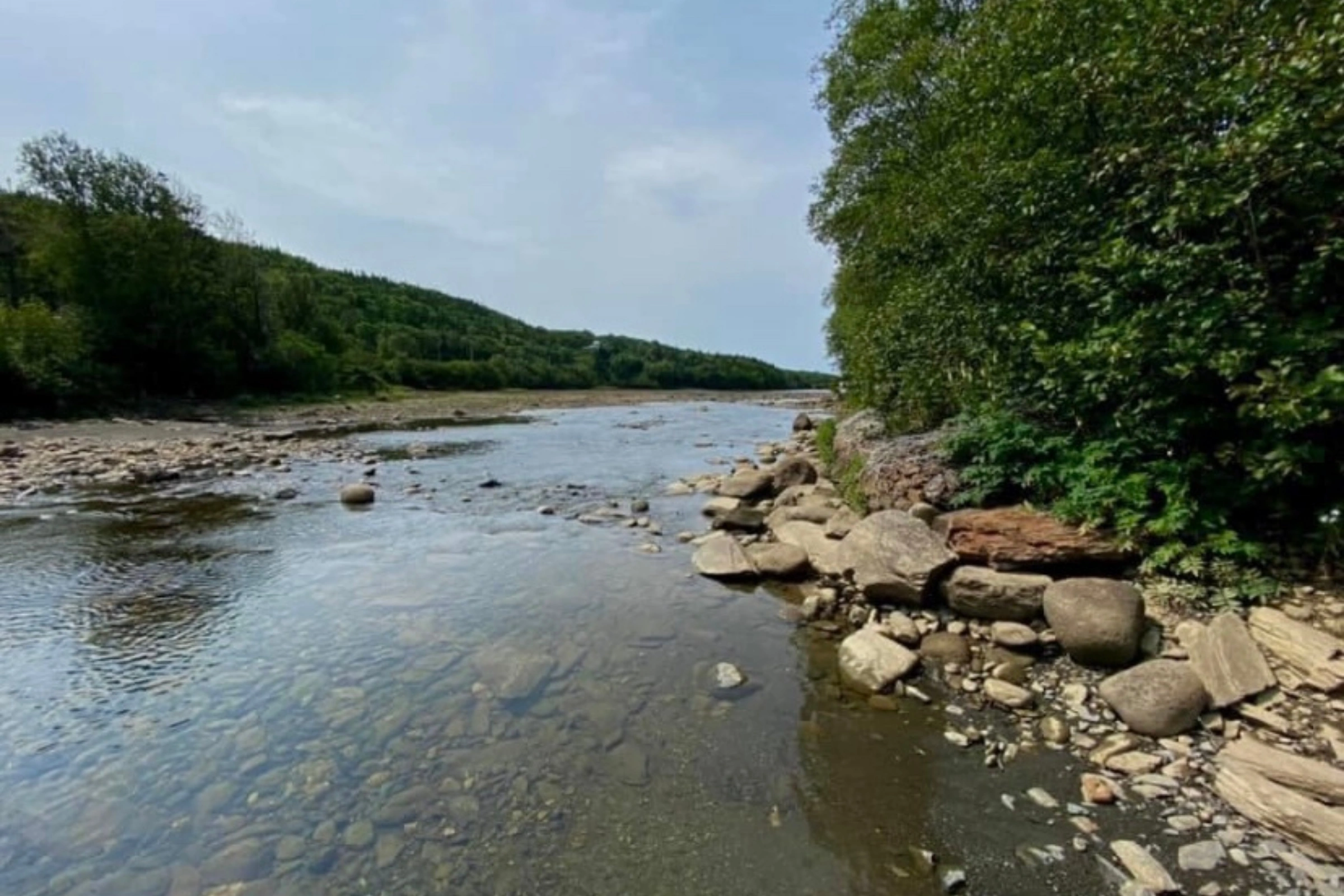 Conne_River,_Miawpukek_First_Nation,_Newfoundland_and_Labrador_(g)[1].webp